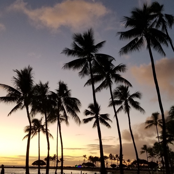 Meet the Posher Other - Meet your Poshers, M & K